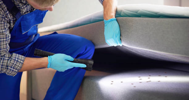 Best Residential Pest Control  in Lagrange, GA