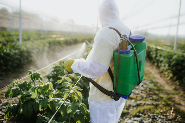 Best Insect Control  in Lagrange, GA